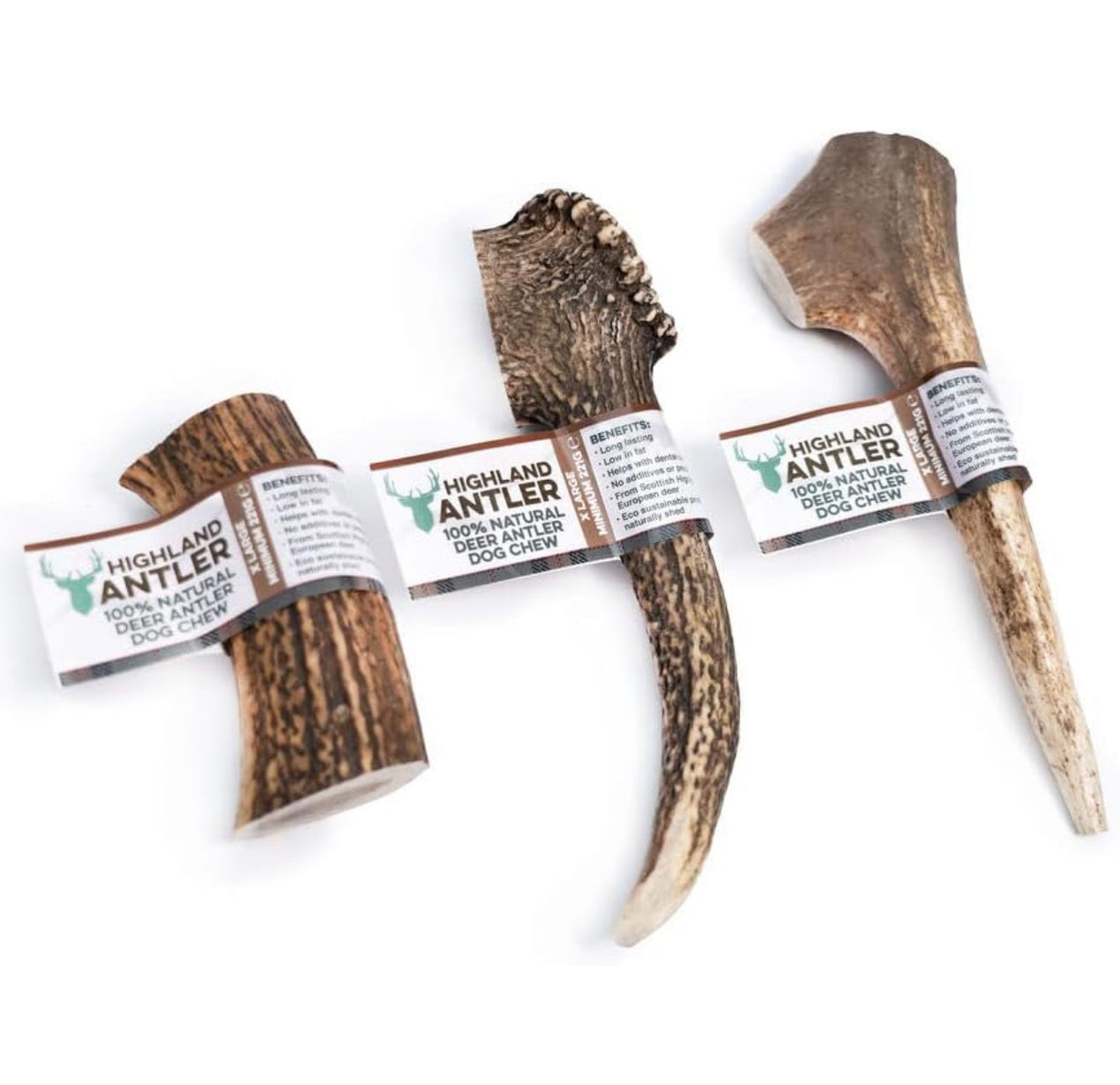 Highland Antler