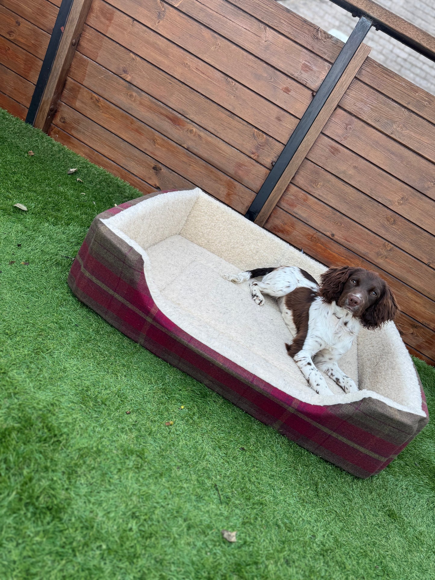 Dreamy Dog Beds: Snuggly, Stylish & Washable - Rectangular