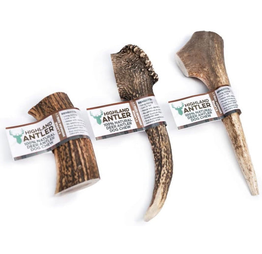 Highland Antler