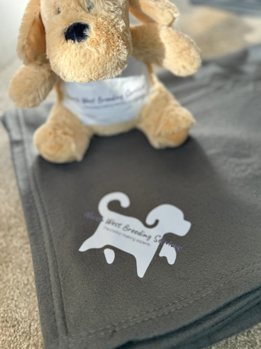 NWBS Blanket