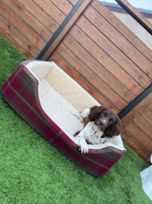 Dreamy Dog Beds: Snuggly, Stylish & Washable - Rectangular