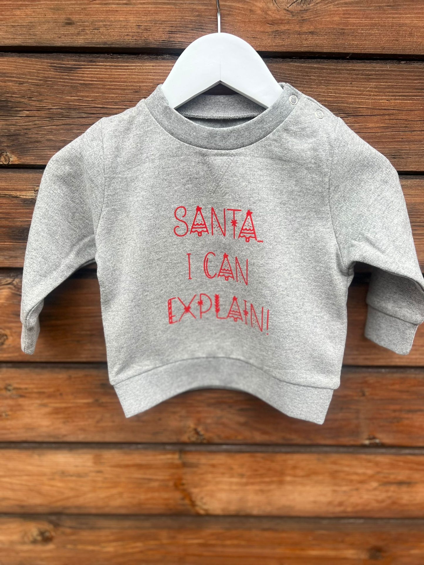 Santa….I Can Explain Jumper