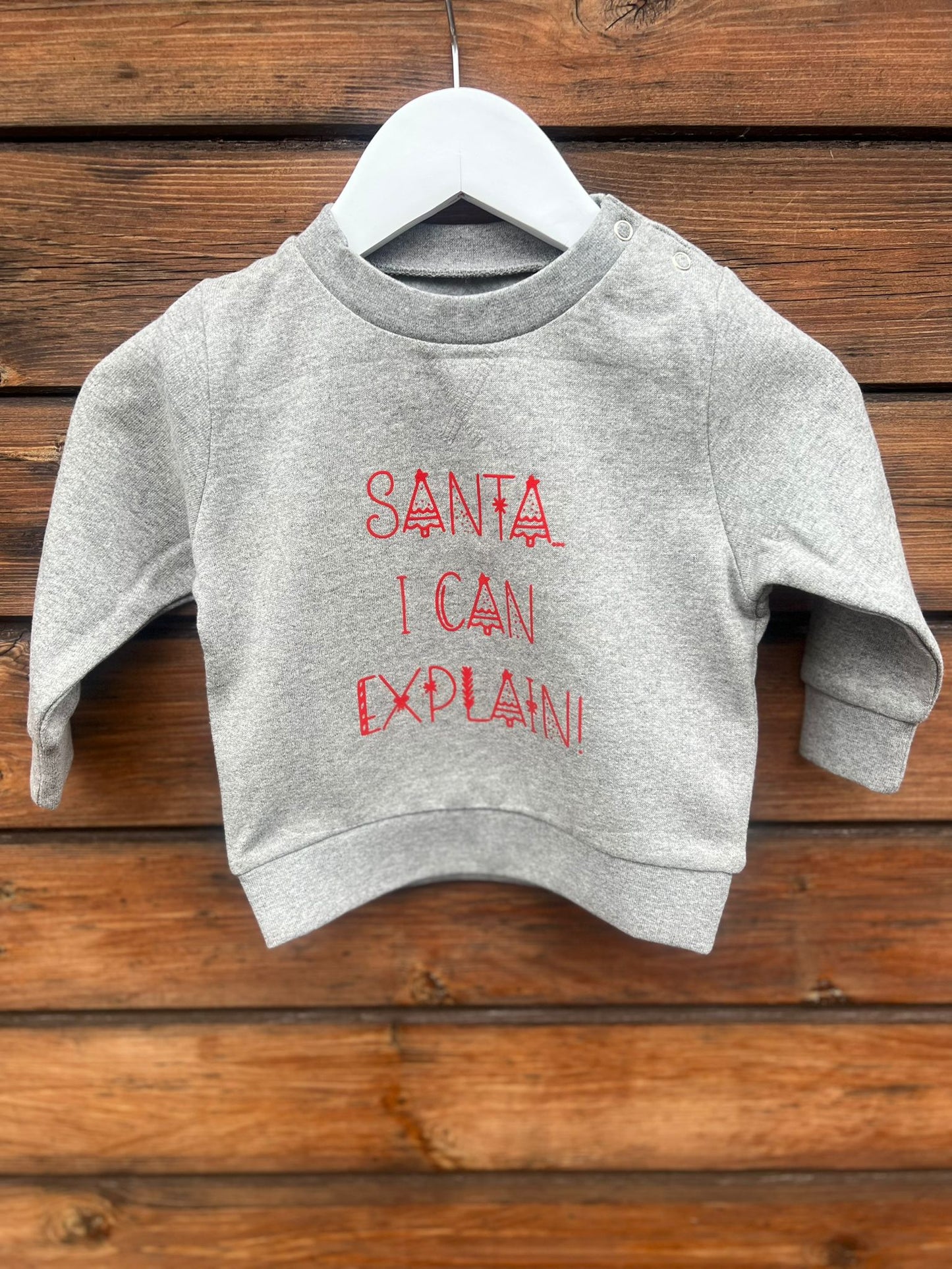 Santa….I Can Explain Jumper