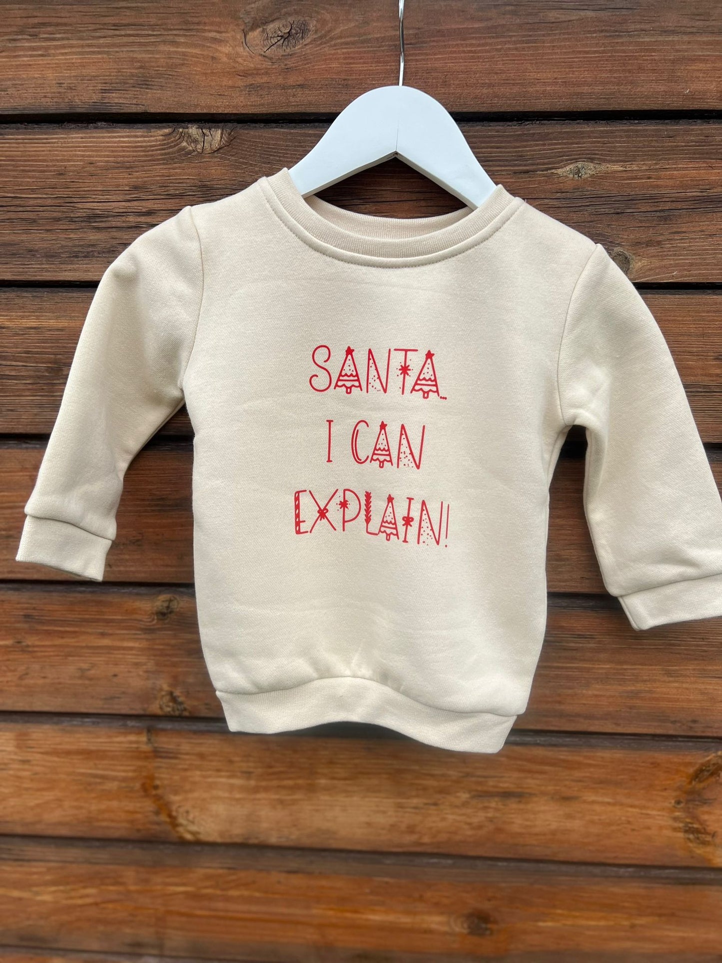 Santa….I Can Explain Jumper